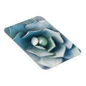 ザハンティントン植物園 マグネット (右側)