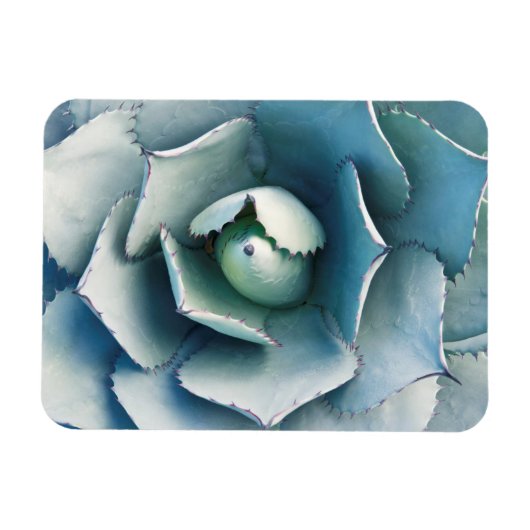 ザハンティントン植物園 マグネット (横)