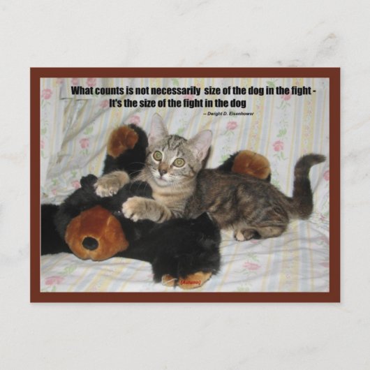 ザハン素晴らしター ポストカード (正面)