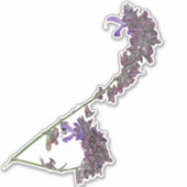 ザハーブクラリーセージ |ビニールステッカー シール (正面)