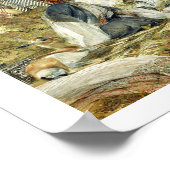 ザハーレム ポスター (角)