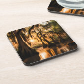 ザバイユー コースター (左側)