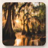 ザバイユー コースター (正面)