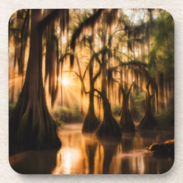 ザバイユー コースター