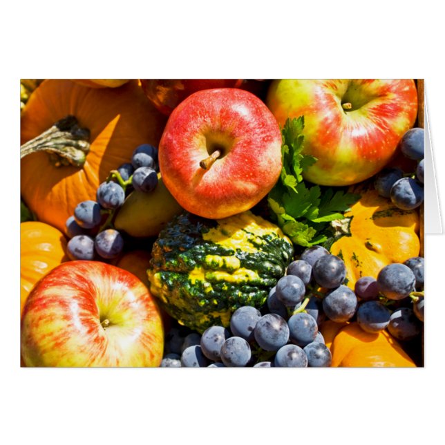 ザバウンティ (正面横)