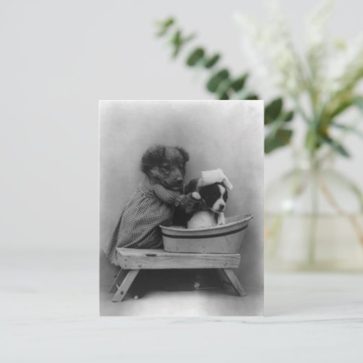 ザバス ポストカード (スタンド正面)