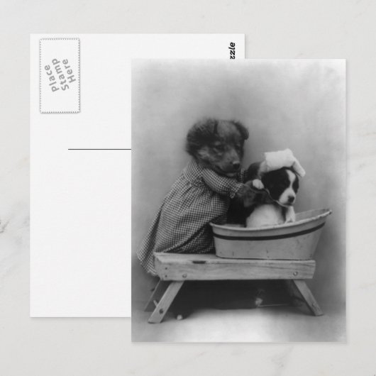 ザバス ポストカード (正面/裏面)