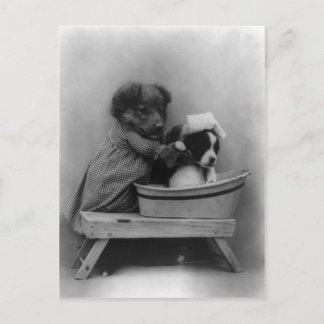 ザバス ポストカード