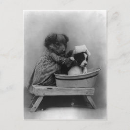 ザバス ポストカード