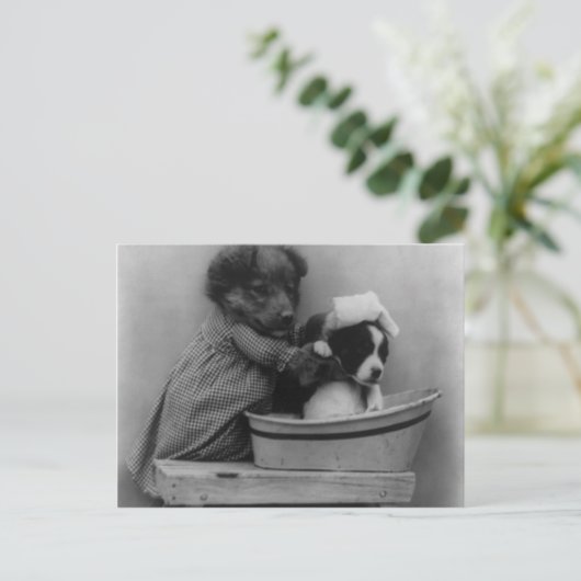 ザバス ポストカード (スタンド正面)