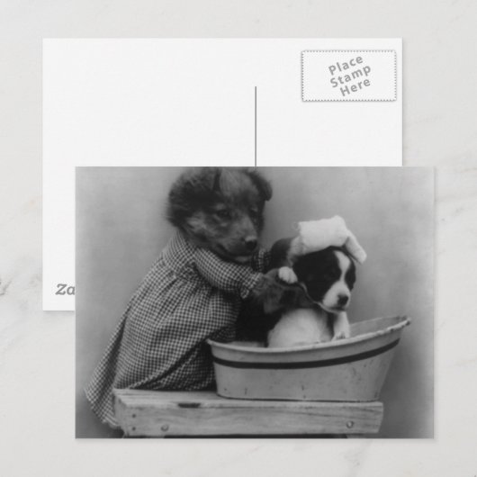 ザバス ポストカード (正面/裏面)