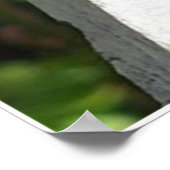 ザバタフライポスト ポスター (角)