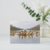 ザバックヤード ポストカード (スタンド正面)