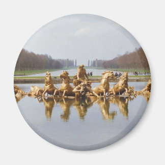 ザバックヤード マグネット