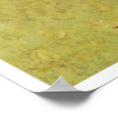 ザバッファロー狩り, 1890 ポスター (角)