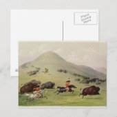 ザバッファロー狩り, c.1832 ポストカード (正面/裏面)