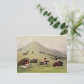 ザバッファロー狩り, c.1832 ポストカード (スタンド正面)