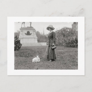 ザバニ熱狂するーレディ ポストカード