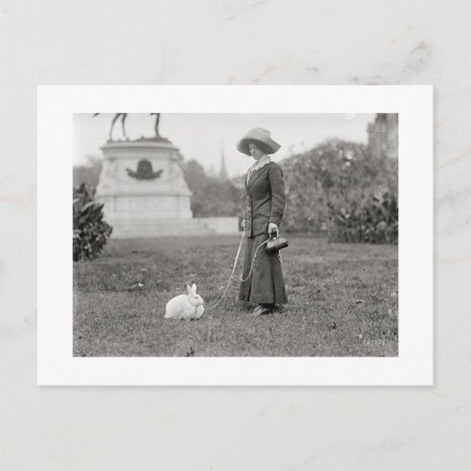 ザバニ熱狂するーレディ ポストカード (正面)