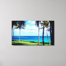 ザバハマ |熱帯の雰囲気