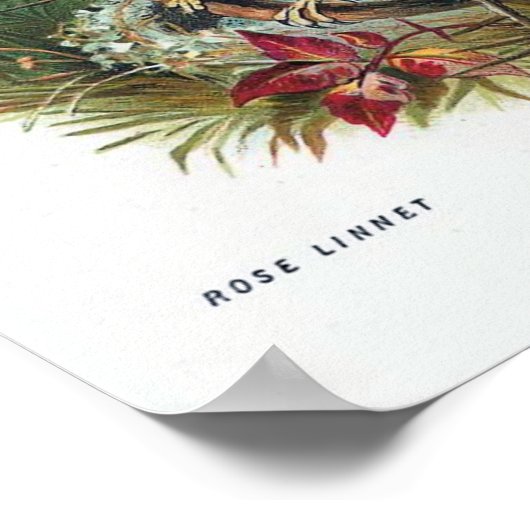 ザバラライン ポスター (角)