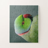 ザバラリンジドパライケット ジグソーパズル (縦)