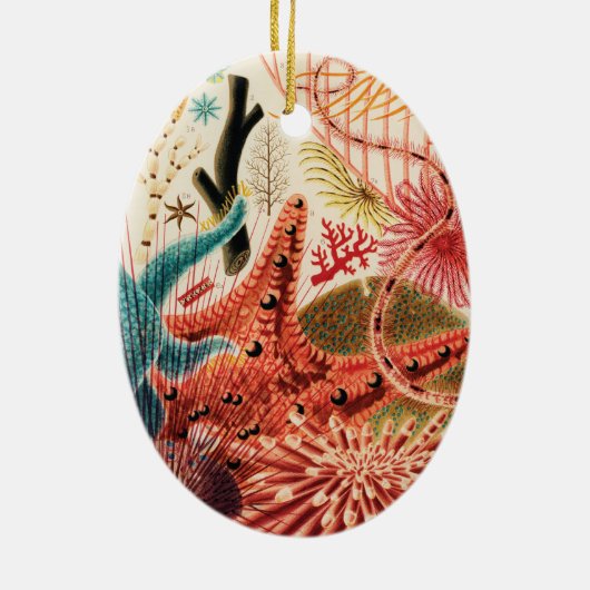 ザバリアリーフ素晴らしオーストラリア セラミックオーナメント (裏面)