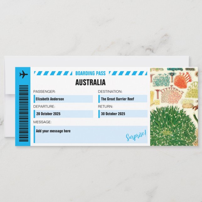 ザバリアリーフ素晴らしサプライズトリップチケット (正面)