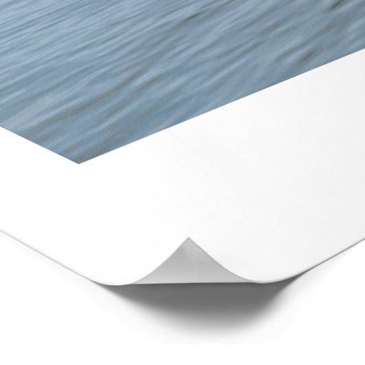 ザバルコニー ポスター (角)