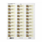 ザバレーガーデンズハロゲートバイファリダグリーンフィールド ラベル (フルシート)