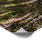 ザバージニア沿道 ポスター (角)