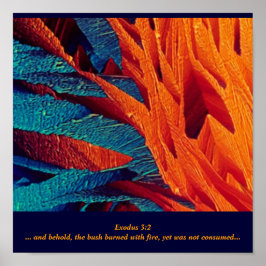 ザバーニングブッシュ抽象芸術 ポスター