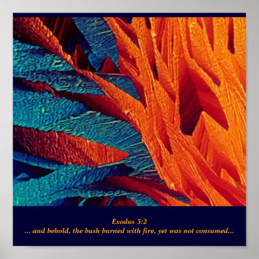 ザバーニングブッシュ抽象芸術 ポスター (正面)