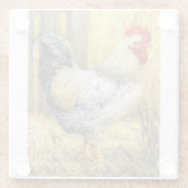 ザバーンルースター ガラスコースター (裏面)