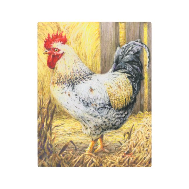 ザバーンルースター メタルプリント (正面)