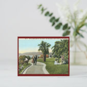 ザパリサーズ、サンタモニカヴィンテージ ポストカード (スタンド正面)