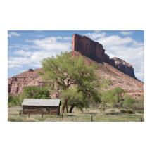 ザパリサードとパイオニアキャビン