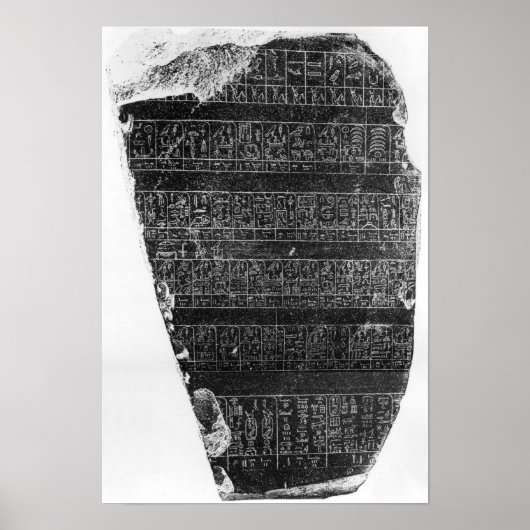 ザパレルモ石 ポスター (正面)