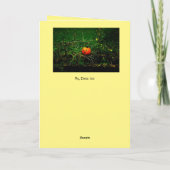 ザパンプキンパレード シーズンカード (裏面)