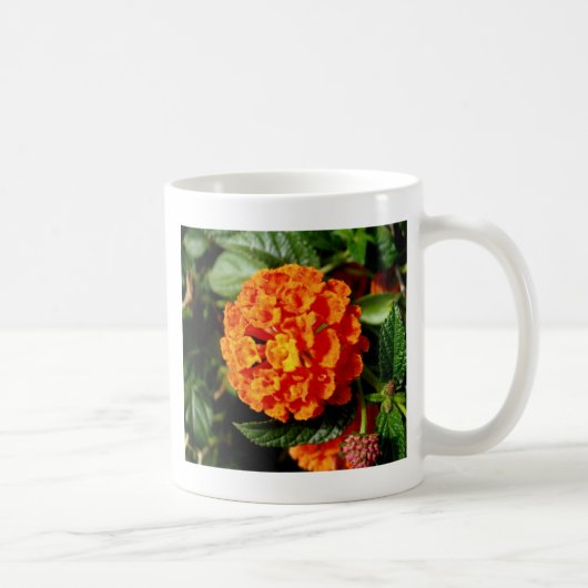ザパーフェクトオレンジ開花 コーヒーマグカップ (右)
