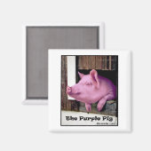 ザパープルブタの磁石 マグネット (正面/裏面)