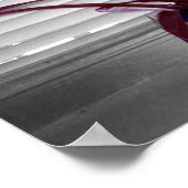 ザパープルプラント ポスター (角)