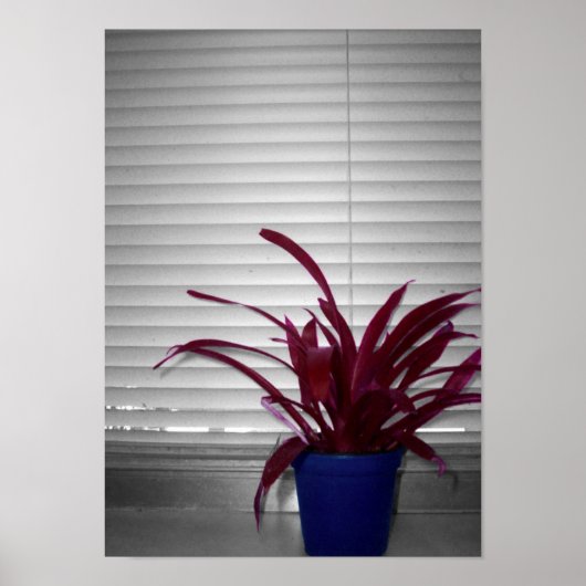 ザパープルプラント ポスター (正面)