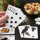 ザパームコッカトー、プロボスシガーアテリマスパロット トランプ (インサイチュ)