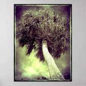 ザパーム ポスター (正面)