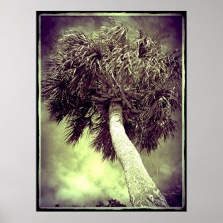 ザパーム ポスター