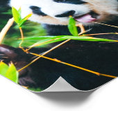 ザパ救ンダ ポスター (角)