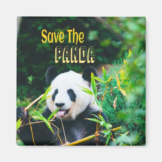 ザパ救ンダ マグネット (正面)