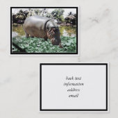 ザヒッポ&バード 名刺 (正面/裏面)