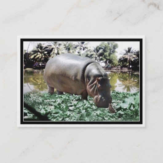 ザヒッポ&バード 名刺 (正面)